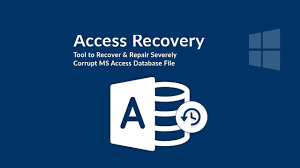 Recover Deleted Data from Access Table
