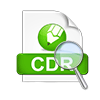Preview Data of CDR File